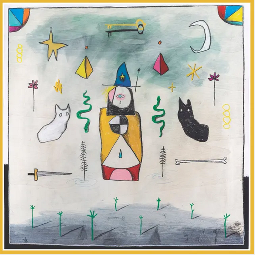 Polypores 'Cosmically A Shambles' LP