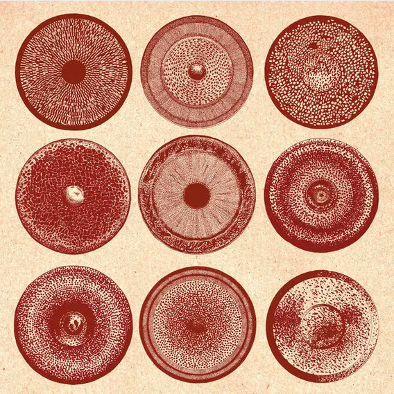 Ensemble Nist-Nah 'Spilla' LP