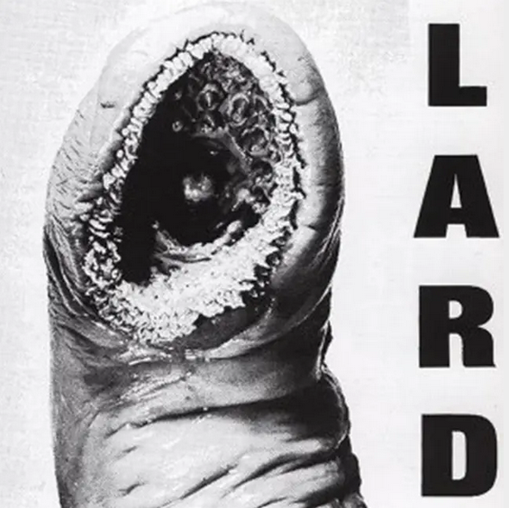 Lard 'Power Of Lard' LP