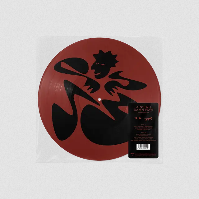 Kaytranada 'AIN'T NO DAMN WAY' LP