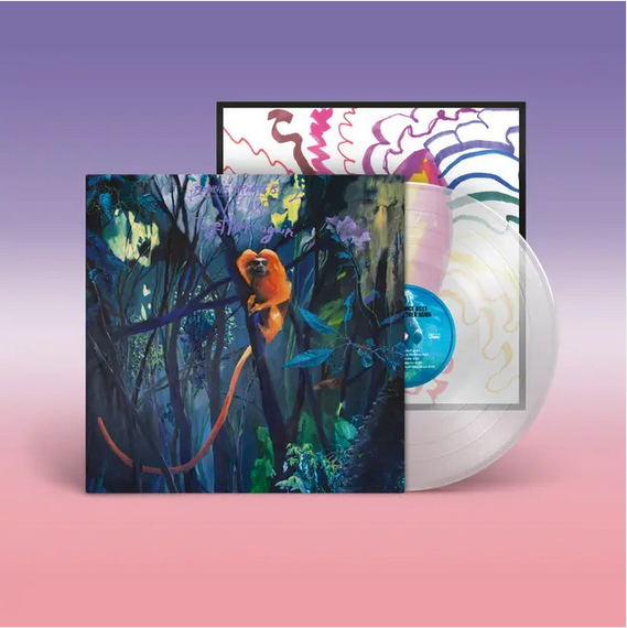 Bonnie "Prince" Billy 'We Are Together Again' LP