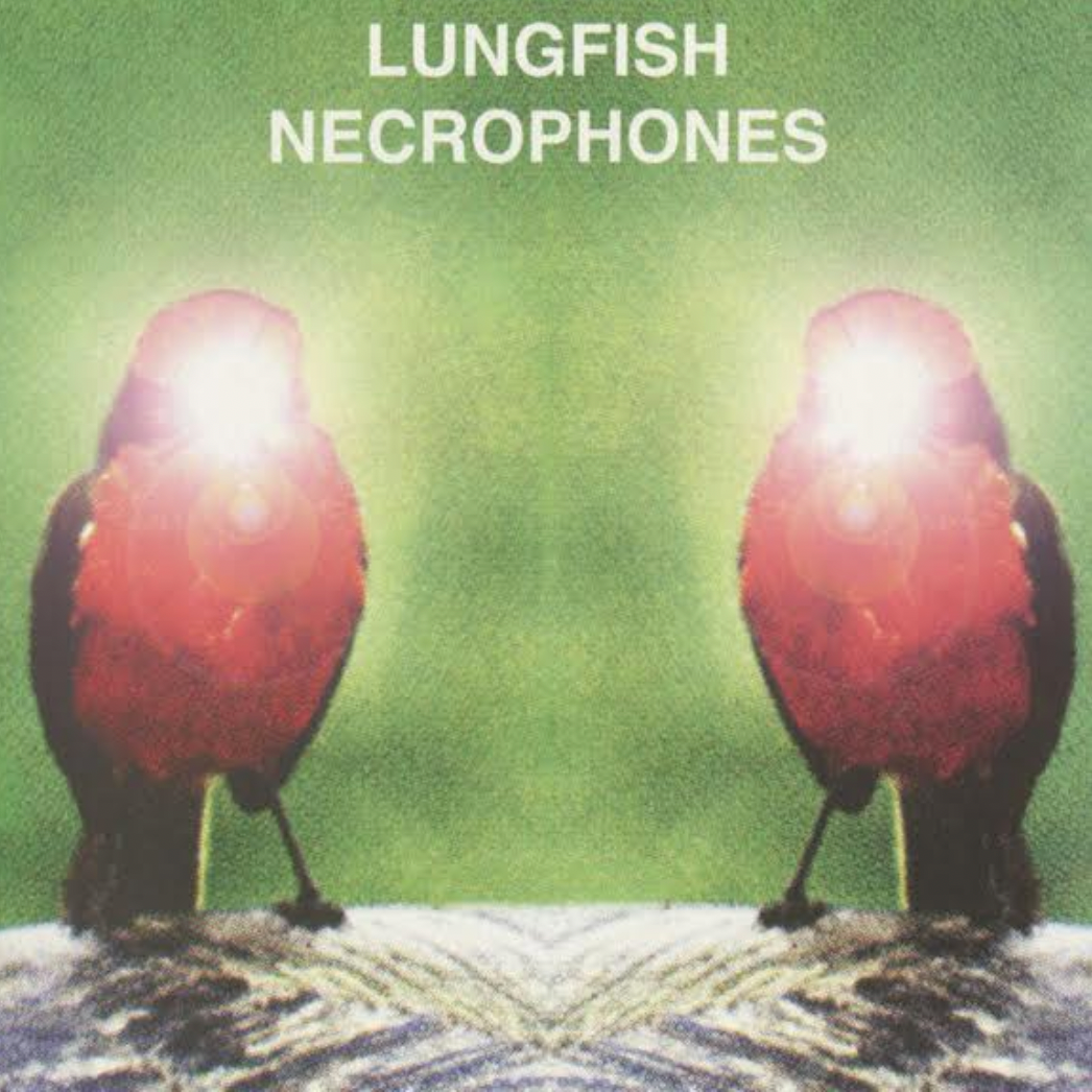 Lungfish 'Necrophones' LP