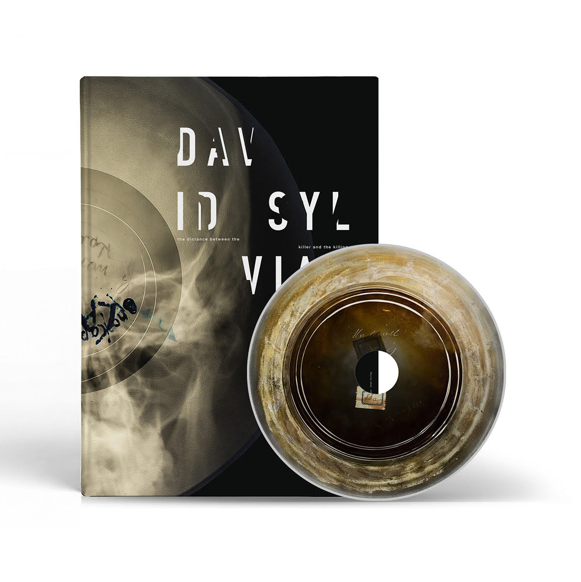 David Sylvian 'The Distance Between The Killer And The Killing'