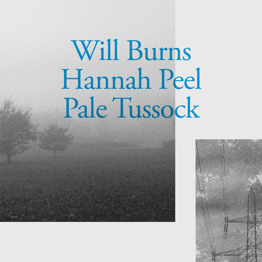 Will Burns & Hannah Peel ‘Pale Tussock’ 7"