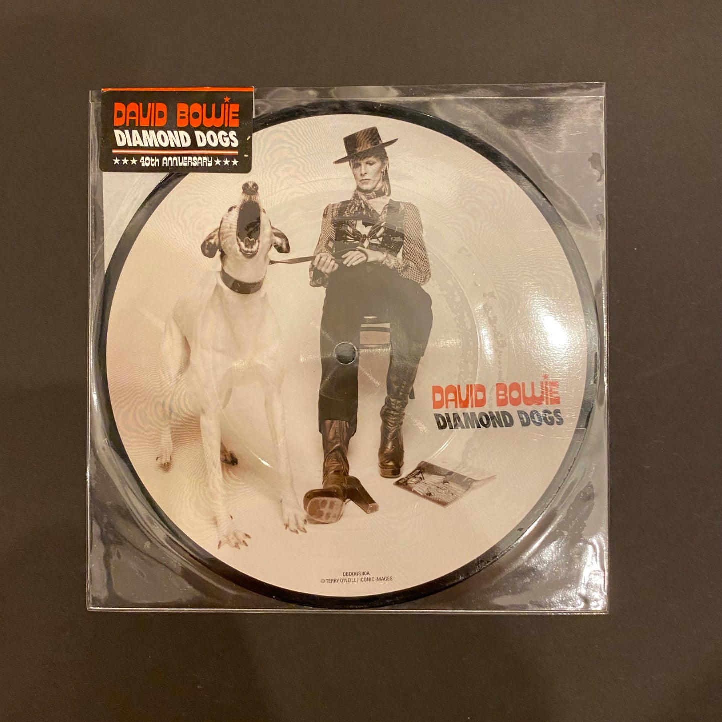 David Bowie 'Diamond Dogs' 7" Picture Disc (*USED*)