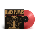 Black Pumas 'Chronicles of a Diamond' LP