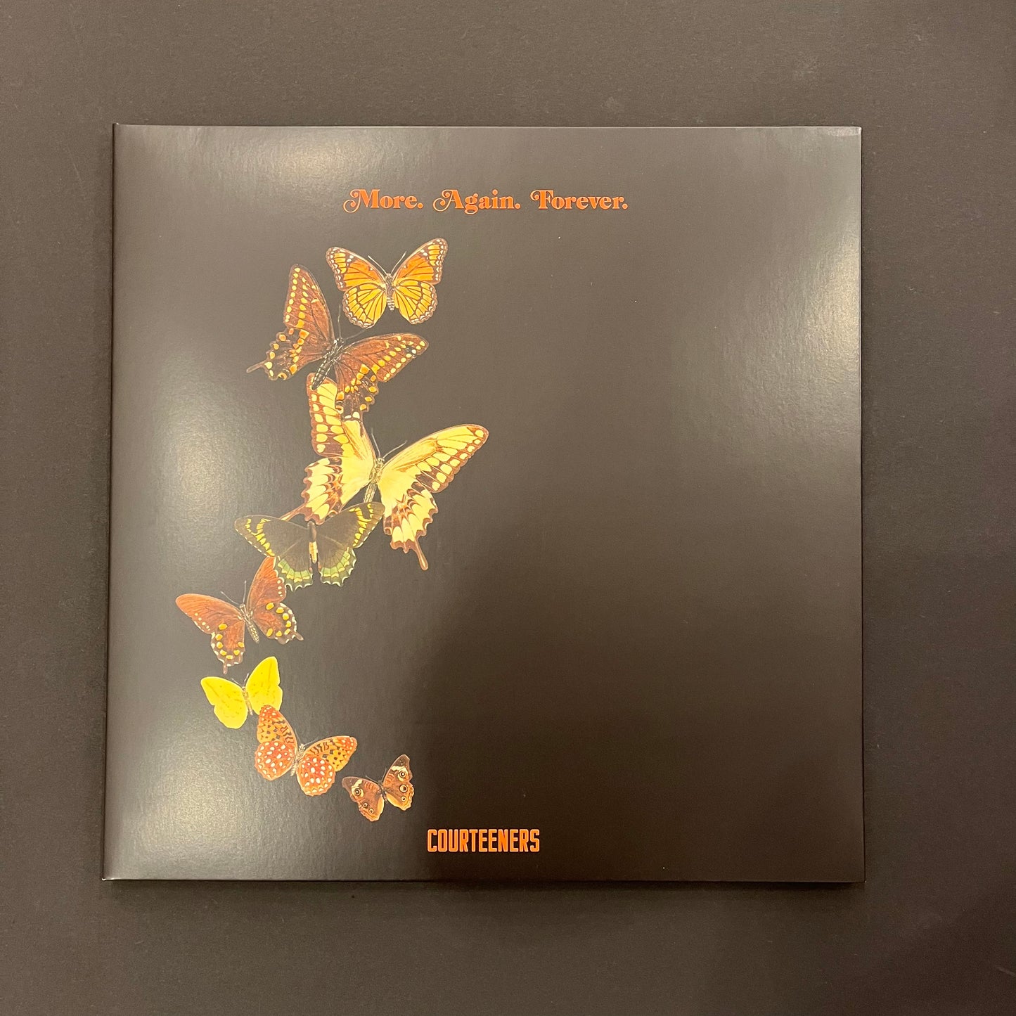 The Courteeners 'More. Again. Forever' LP (*USED*)