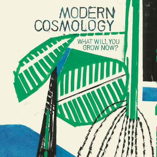 Modern Cosmology 'What Will You Grow Now?' LP