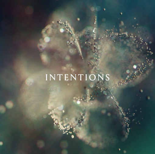 Anna 'Intentions' 2xLP