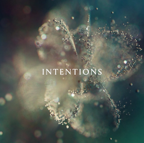 Anna 'Intentions' 2xLP