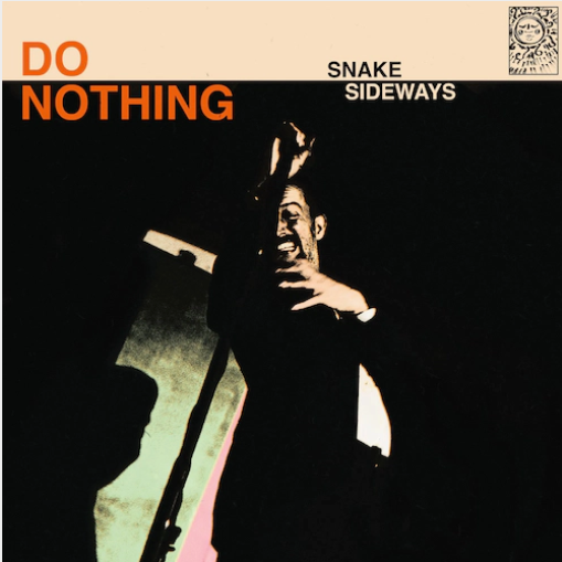 Do Nothing 'Snake Sideways' LP