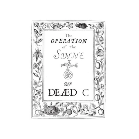 The Dead C 'The Operation of the Sonne' LP