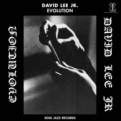 David Lee Jr 'Evolution' LP