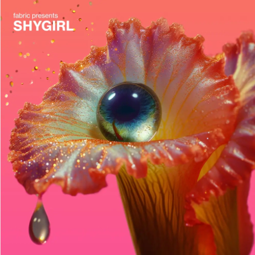 Various ‘fabric presents Shygirl’ 2xLP