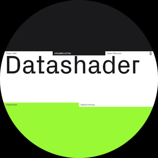 Datashader 'Digital Entropy' 12"