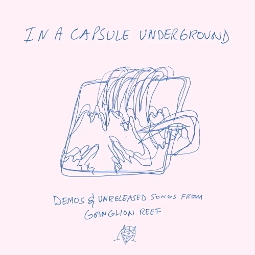 Wand 'In a Capsule Underground' LP