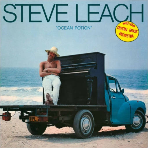 Steve Leach 'Ocean Potion' LP