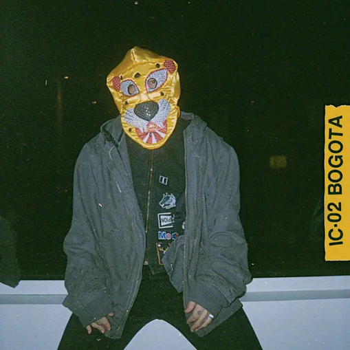 Unknown Mortal Orchestra 'IC-02 Bogot' LP