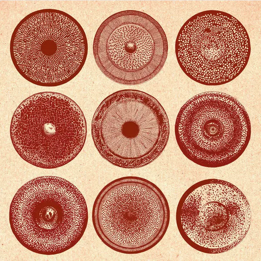 Ensemble Nist-Nah 'Spilla' LP