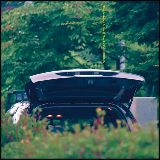 Eiko Ishibashi and Jim O'Rourke 'Pareidolia' LP