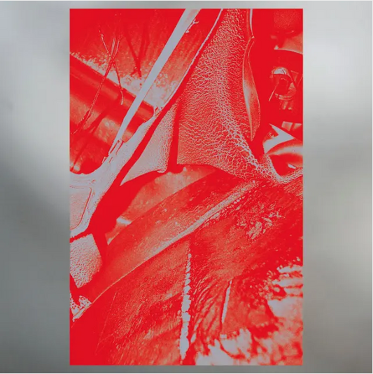 Helm 'Olympic Mess' 2xLP