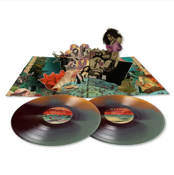 Anderson .Paak 'Malibu (10 Year Anniversary)' 2xLP