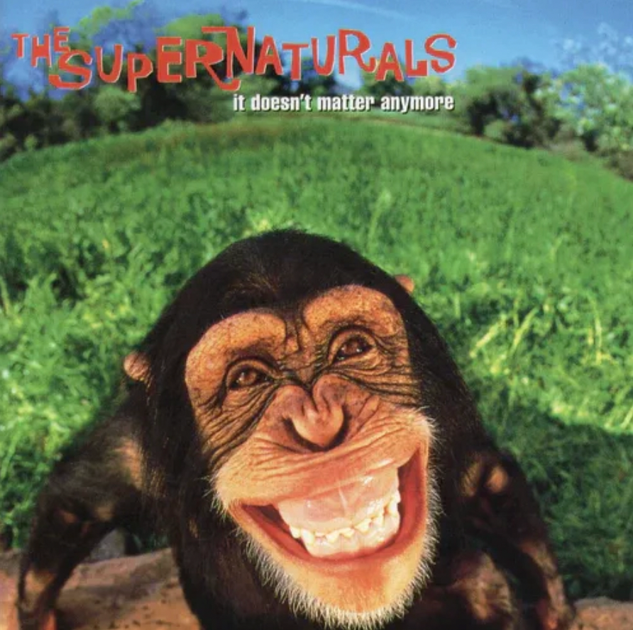 The Supernaturals 'It Doesn't Matter Anymore' LP