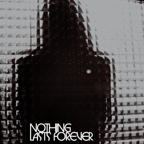 Teenage Fanclub 'Nothing Lasts Forever' LP