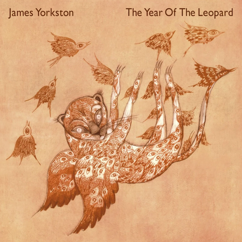 James Yorkston 'The Year Of The Leopard' 2xLP