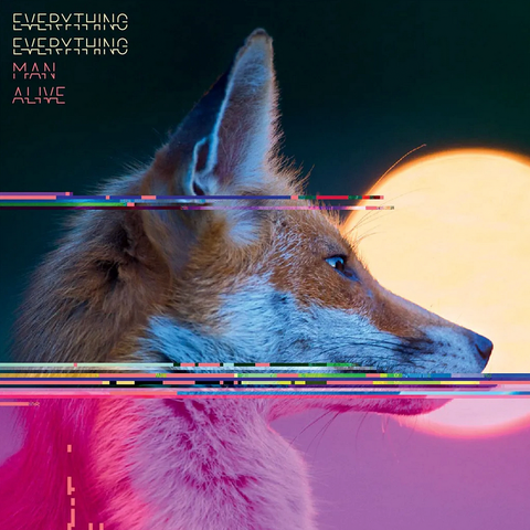 Everything Everything 'Man Alive'