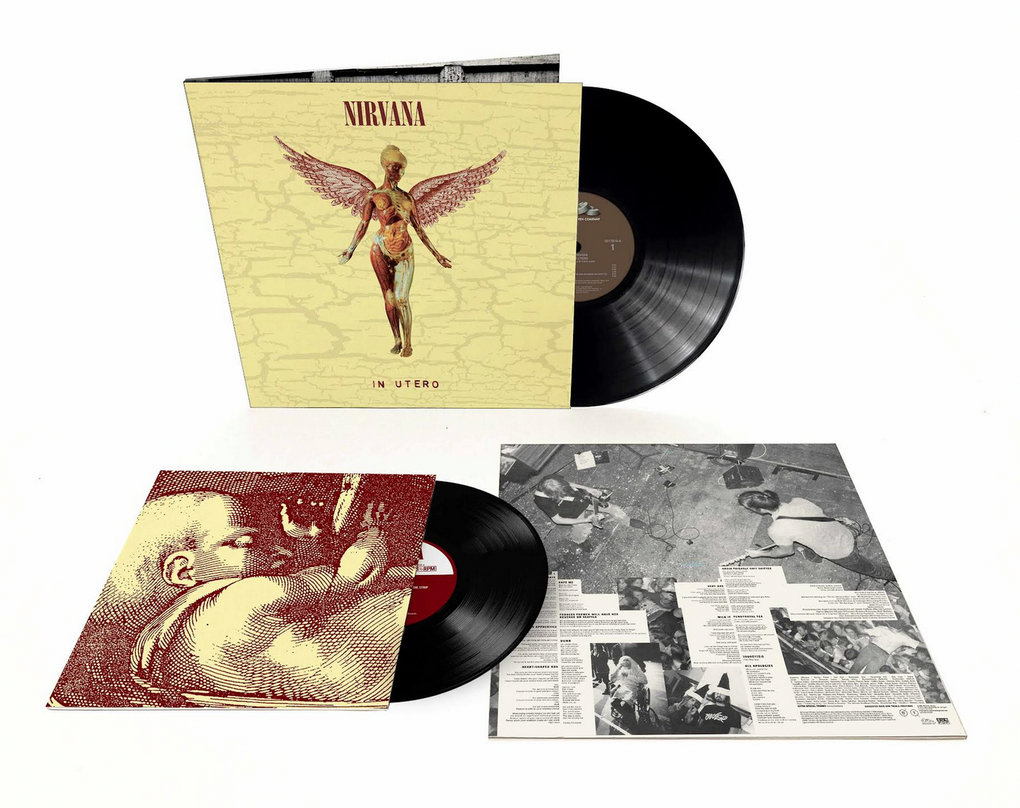 Nirvana 'In Utero (30th Anniversary)'