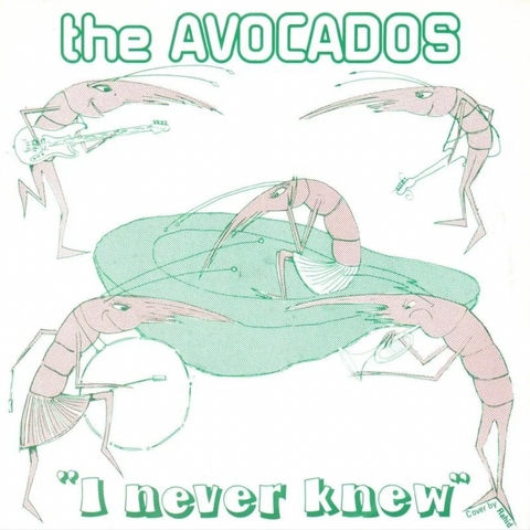The Avocados 'I Never Knew / Television Brought Me Up' 7"