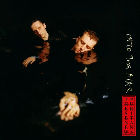 These New Puritans 'Into The Fire' 7"