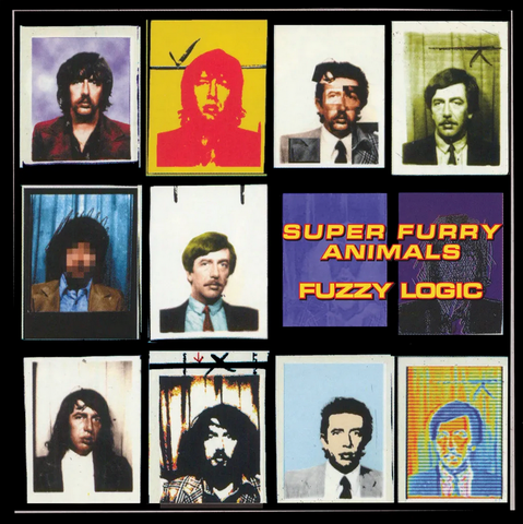 Super Furry Animals 'Fuzzy Logic' LP
