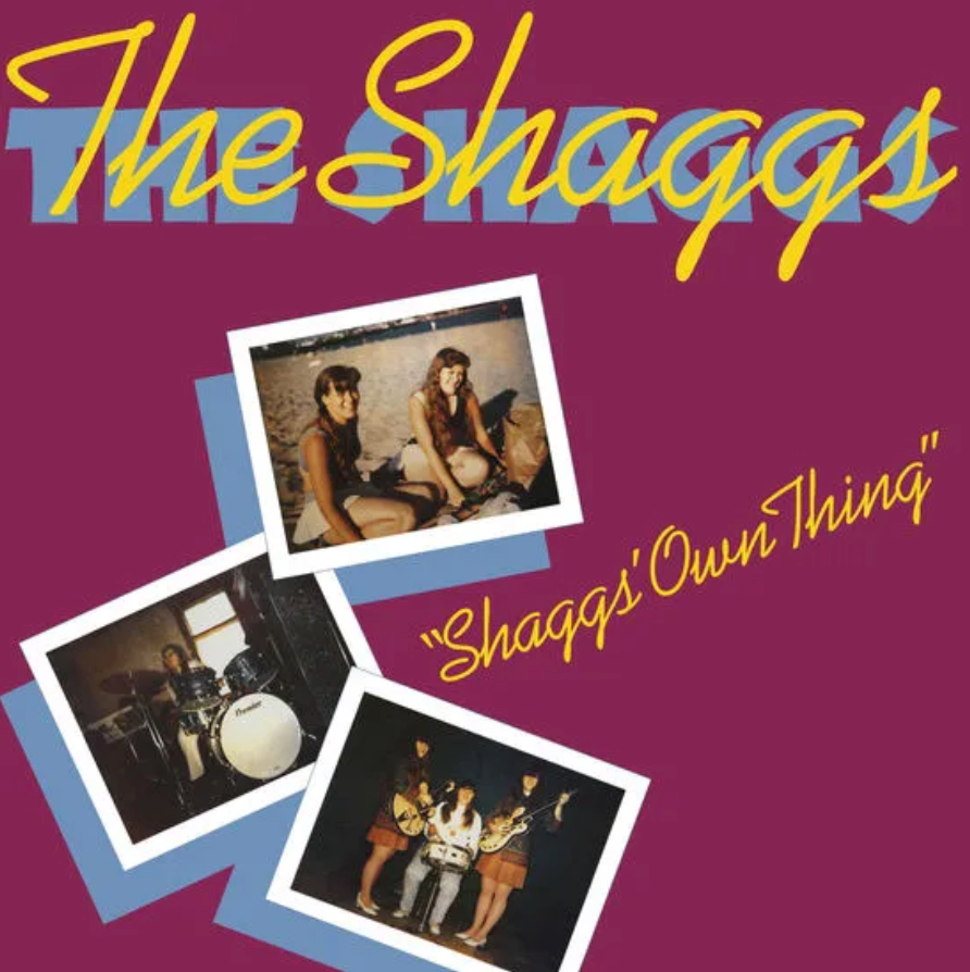The Shaggs 'Shaggs Own Thing' LP