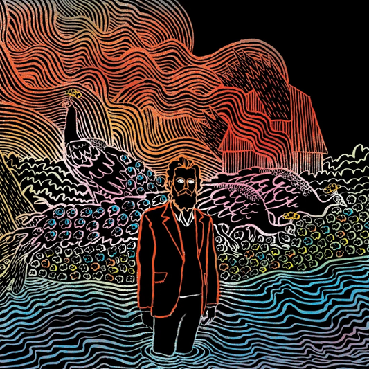 Iron and Wine 'Kiss Each Other Clean' LP