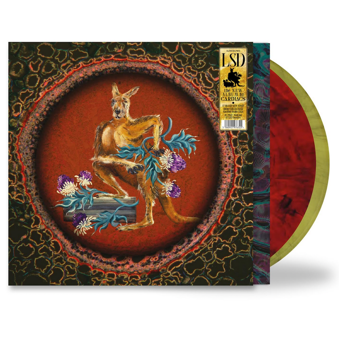 Cardiacs 'LSD'
