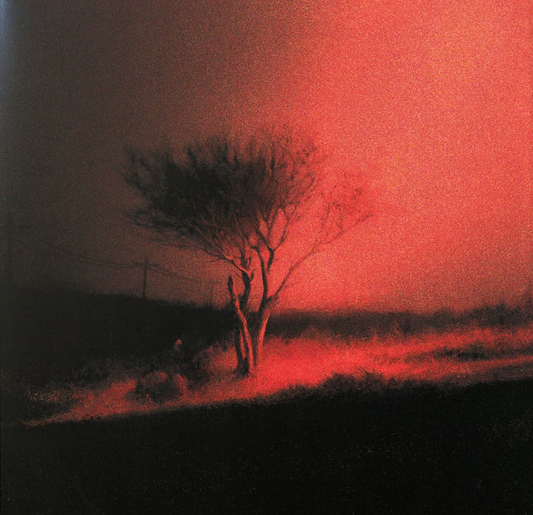 Joji 'Piss In The Wind' LP