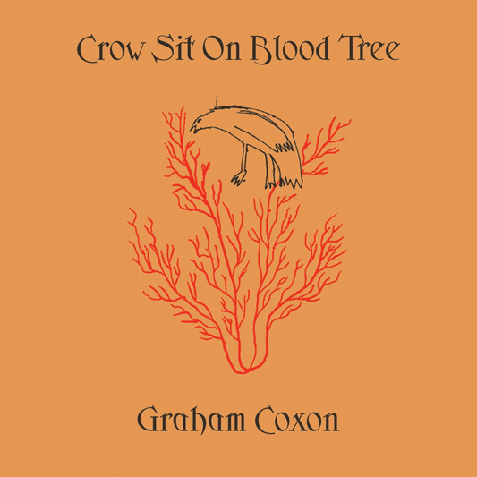 Graham Coxon 'Crow Sit On Blood Tree'