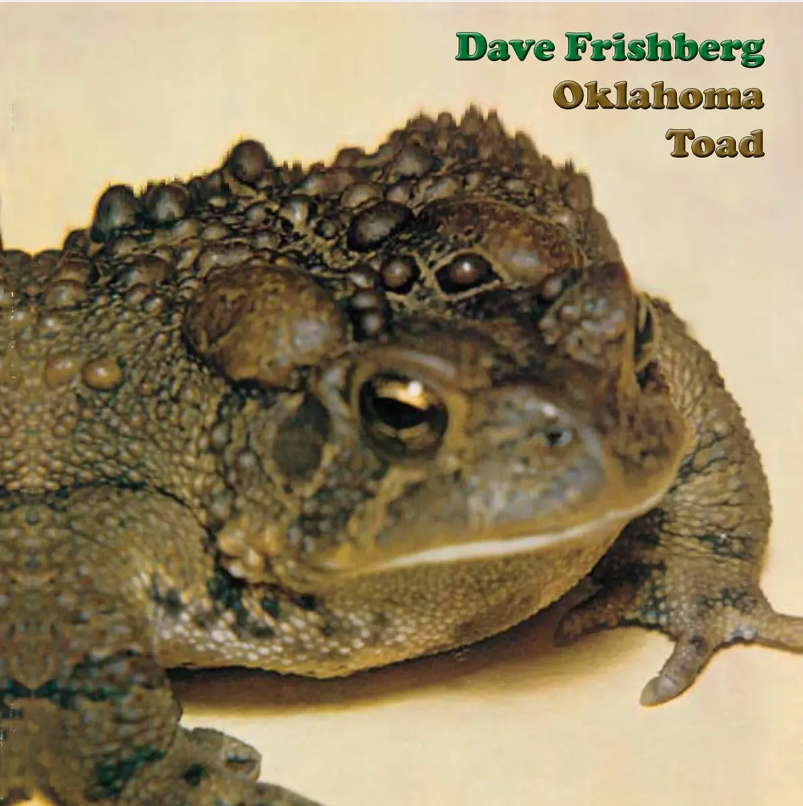Dave Frishberg 'Oklahoma Toad' LP + 7"
