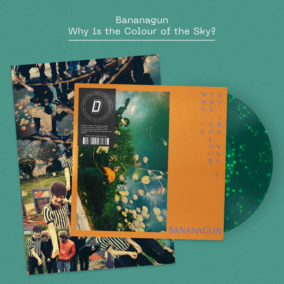 Bananagun 'Why is the Colour of the Sky?' LP