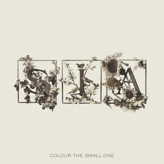 Sia - Colour The Small One LP