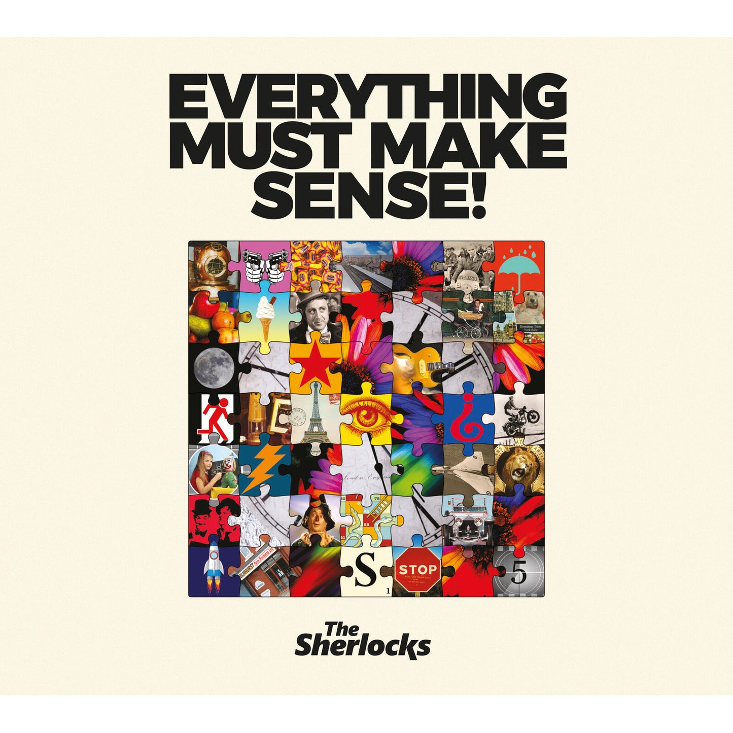 The Sherlocks 'Everything Must Make Sense!' LP