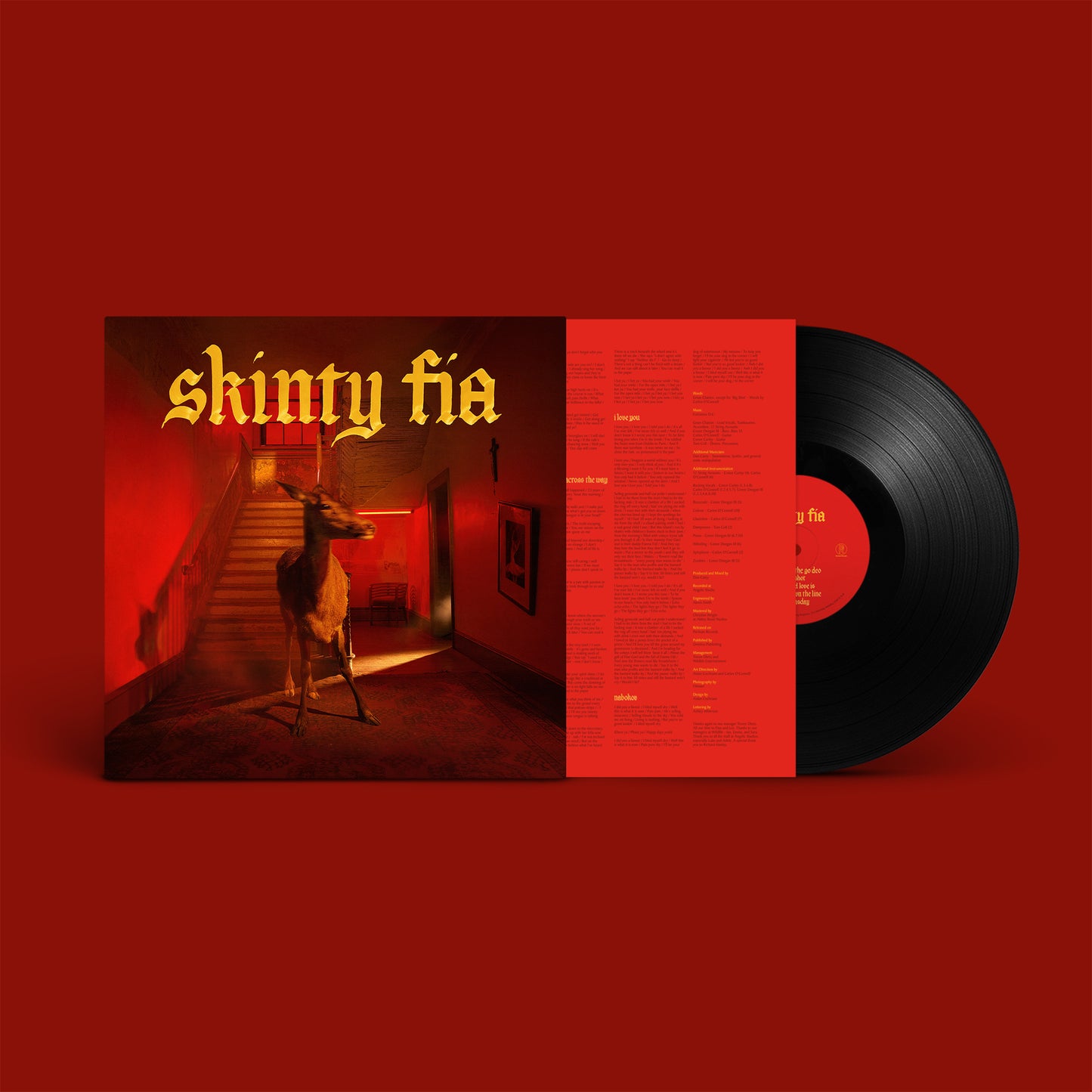 Fontaines D.C. 'Skinty Fia' LP