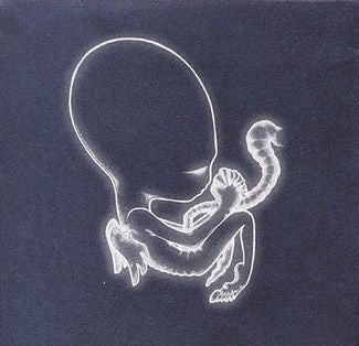 Sigur Ros 'Agaetis Byrjun' 2xLP
