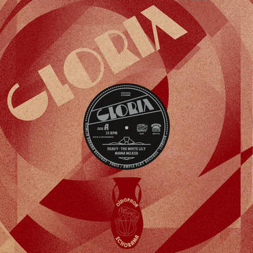 Gloria 'Oidophon Echorama' 12"