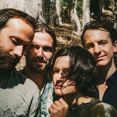 Big Thief 'Two Hands' LP