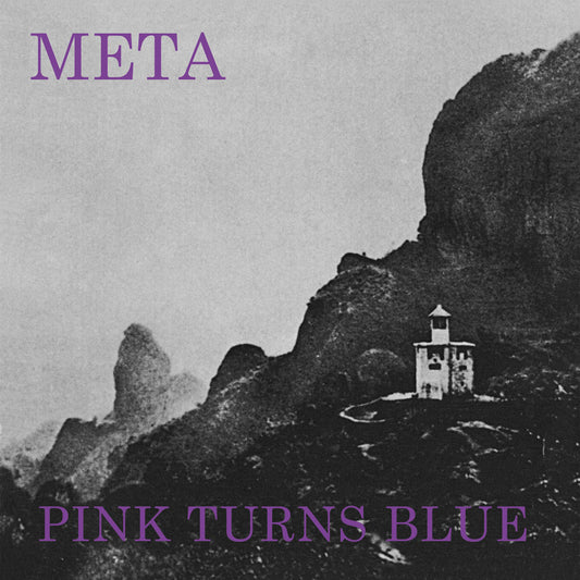 Pink Turns Blue 'Meta' LP
