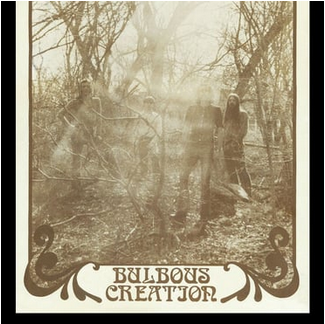 Bulbous Creation 'You Won't Remember Dying' LP