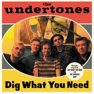 The Undertones 'Dig What You Need' LP
